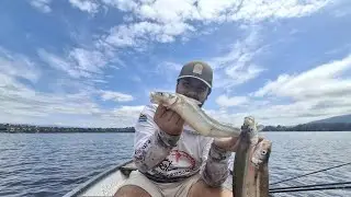 PESCA DE PEJERREY SAN ROQUE | BUEN PIQUE PESCA