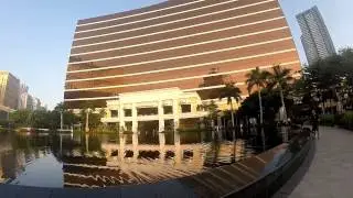 Wynn 1