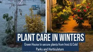 Plant Care in Winters | Green House to secure plants from frost & Cold | Parks and Horticulture 