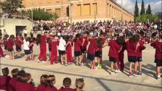 Ball del punxonet!