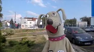 Elabika stroje reklamowe maskotki Pies ROKO Fun Zbyszko