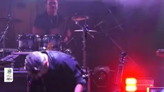 Fiestas de los Negritos - 26 de diciembre 2025 | Artistas Locales