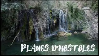 Els gorgs de les planes d'hostoles