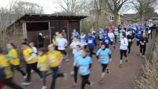 MTG Germany, Firmenlauf 2014