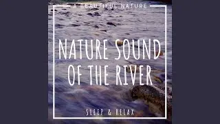 Steady Water Flow