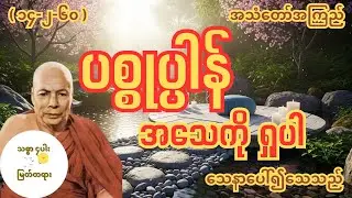 ဝိမုတ္တာယတနသုတ် သေနာပေါ်၍သေသည် မိုးကုတ်ဆရာတော်ဘုရားကြီး အလုပ်ပေး တရားတော်