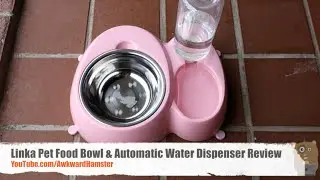 Linka Pet Food Bowl & Automatic Water Dispenser Review