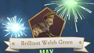 Brilliant Welsh Green - Into the Fire Part 2