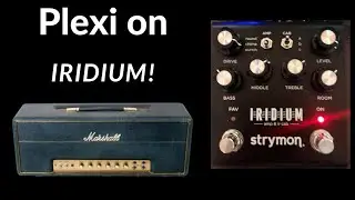 Strymon Iridium 