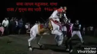 Amit jadhav horse dance Vaduj ta khatav,