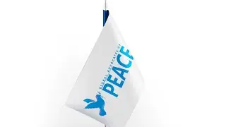 Global Advocates of Peace Flag -United Nations Peace Series 0.2 Day 3 