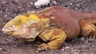 G Adventures' Galapagos Multisport - February 2020