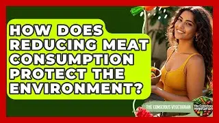 How Does Reducing Meat Consumption Protect The Environment? - The Conscious Vegetarian