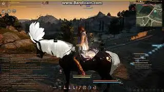 BlackDesertOnline. Таким он был  в 2015 году =(