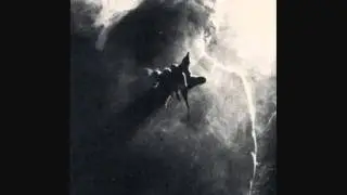 Parrot Head- another day in exile