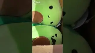 DO you like tajin? Custom Squishmallow ┃Squishtok Squish Squad tik tok dyi song