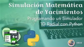 Programando un simulador radial 1D con Python [SMY]
