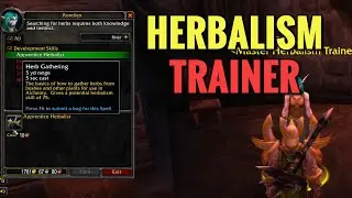 Honor Hold Herbalism Trainer Location (WoW TBC)