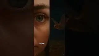 Летучие мыши видят мир в звуках &mdash; и это потрясающе!