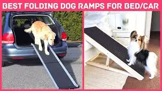 Best Dog Ramp - Folding Dog Ramps You Can Buy On Amazon