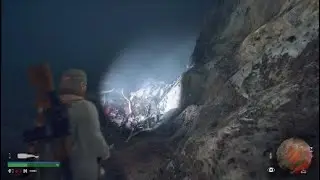 Days Gone - Easy Cave Horde