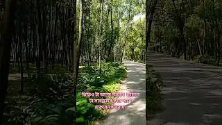 best travel blog Gazipur #akash#travel#blog #gazipur#dhaka #bangladesh#viralvideo#shorts #trending