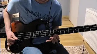 WAL MK2 - Clone, made by Gwozdz Instruments