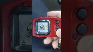 The Digimon Pendulum Color First Look! #digimon