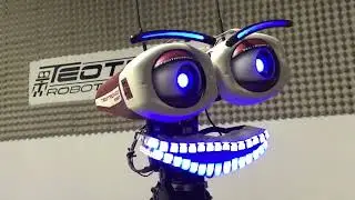 TeoTronico Robot