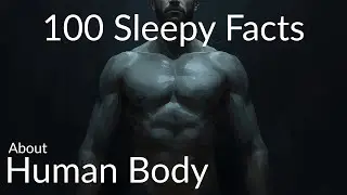 The most relaxing facts about our human body to fall asleep to