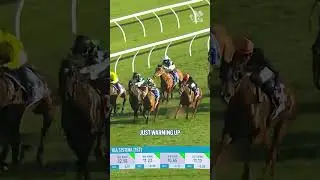 Can Via Sistina be the FIRST 8 year old mare to win at G1 level since 1945? 🤔