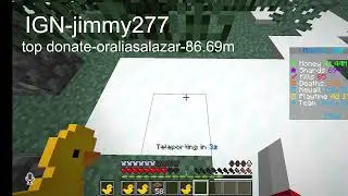 rating baces best one gets 15m on donut smp
