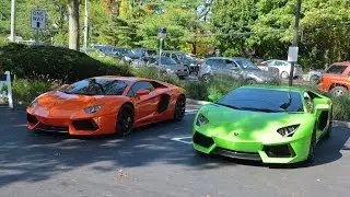 Dropout & Hulk Lamborghini Aventador's