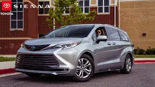 2021 Toyota Sienna: Are minivans really dog friendly?