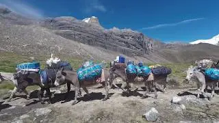 Huayhuash Circuit Trek in Peruvian Andes with World Expeditions
