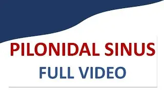 Complete Guide to Pilonidal Sinus | Causes, Symptoms, Laser Treatment | Dr. Swarada Ambardekar
