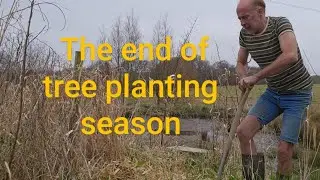 End of tree planting season 🌳 #nativetrees #mud #treeplanting #landscaping #fitnessmotivation #ideas