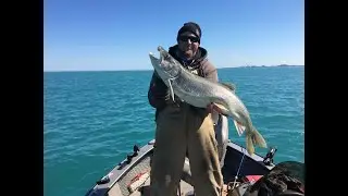 Awesome Perch trip with my Dad and son @ Calumet Harbor, IL. Bonus.. Monster LAKE TROUT!!! 3/20/2022