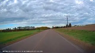 PACK of WOLVES - BAYFIELD CO