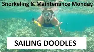 Snorkeling the Indians at BVI & a Shower Pump Problem - Boat Maintenance Monday