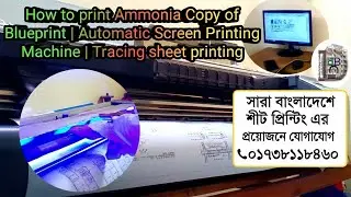 How to print Ammonia Copy of Blueprint | Automatic Screen Printing Machine | Tracing sheet printing