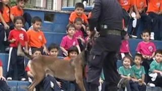 Reportaje Noticias 4 Visión - Presentación de guías caninos antinarcóticos en centros escolares.