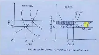 Price determination Under Perfect Competition