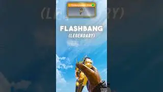 Legendary Flash bang 💀