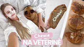 VLOG | Moje předsevzetí,🐶 Chewie packa, pečeme první chléb!