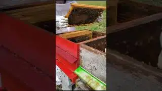 Tuto :  CHANGEMENT DE RUCHE, Migration de ruche, comment changer une ruche