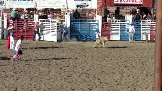 Rodeo Sheep Crash