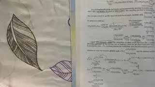 Organic synthesis via enolates