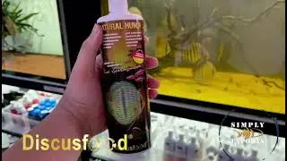 Discusfood Natural Humin | Результаты до и после | Аквариум с дикими дискусами | Рыбы, выловленные в дикой природе