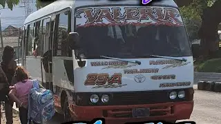 Valeria 29A V2025